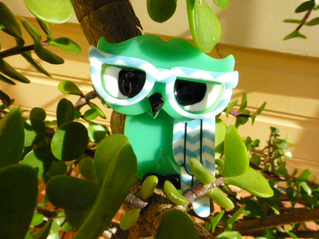 Erstwilder Waldo the Wise Owl in a Cactus