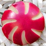 Red and Ivory Celluloid Button